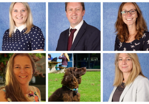 Meet the Team